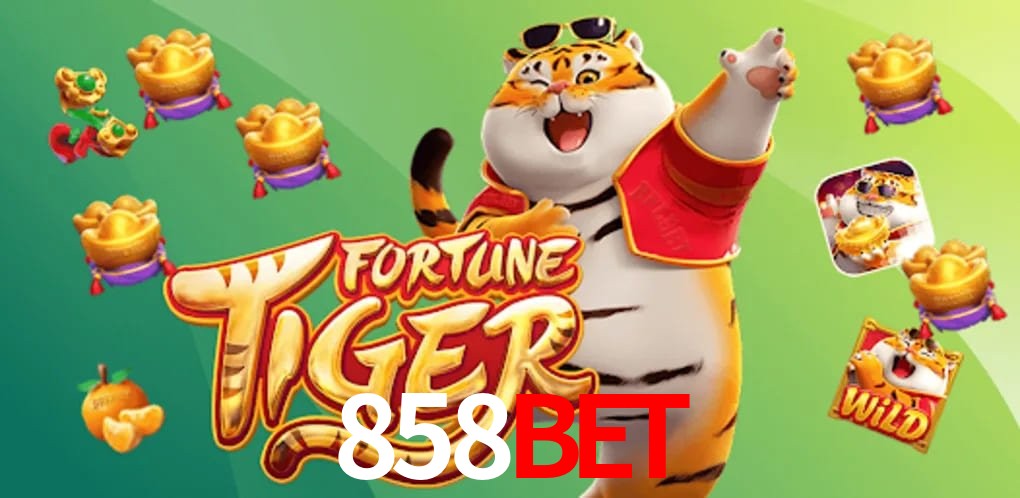 Experiência VIP 858bet